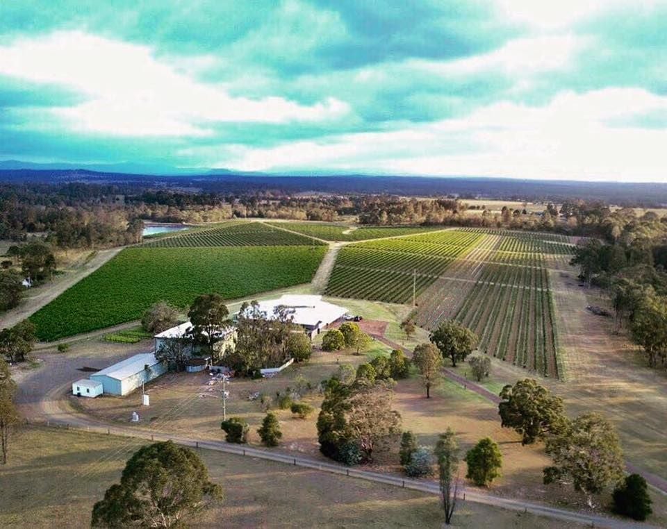 Hunter Valley Vineyard Group Bus Trips Image -5887ed80d114c